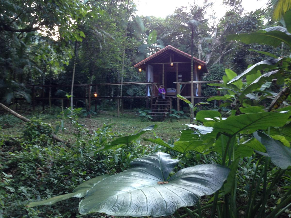 מלון איפורנגה Glamping Mangarito מראה חיצוני תמונה