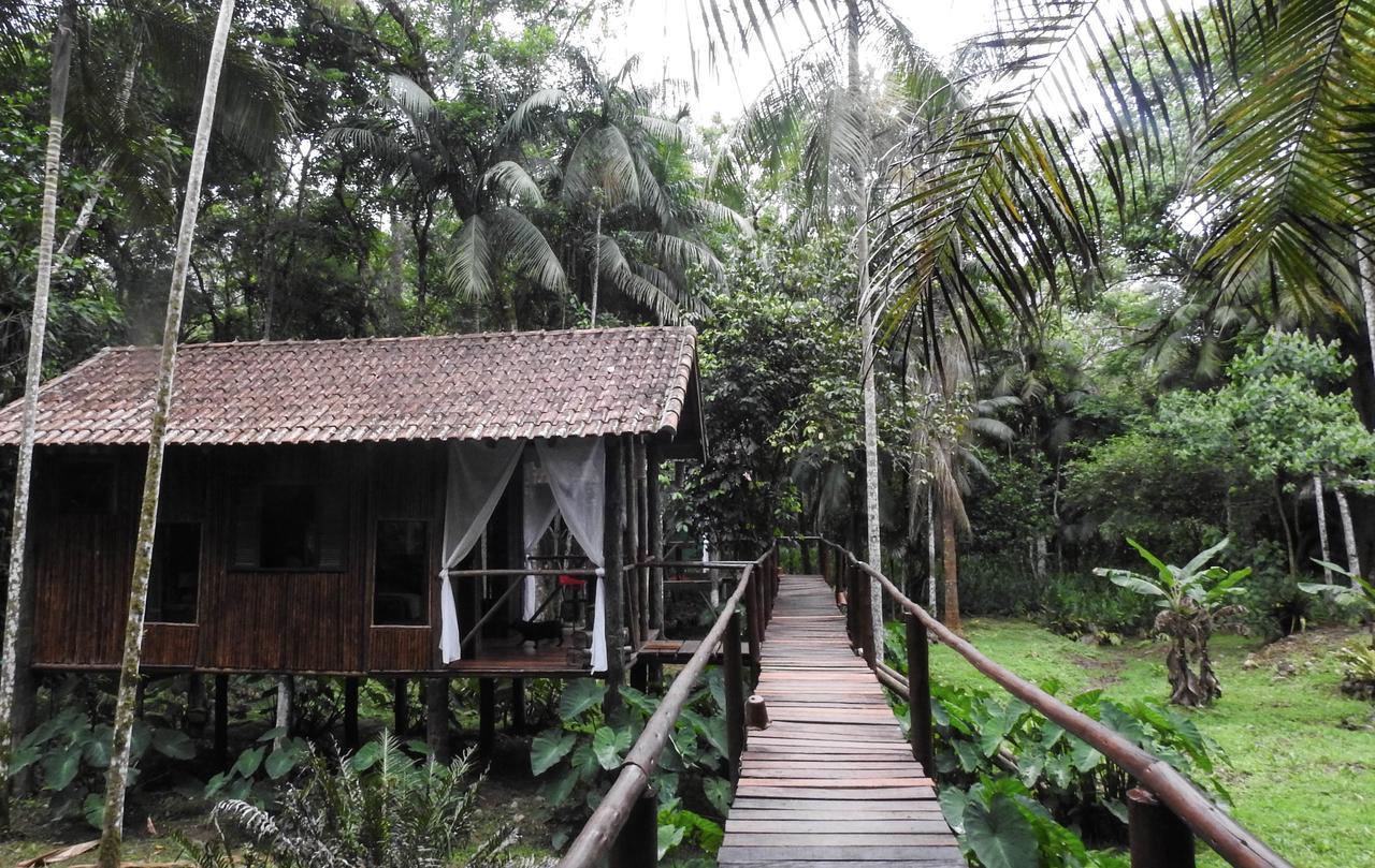 מלון איפורנגה Glamping Mangarito מראה חיצוני תמונה