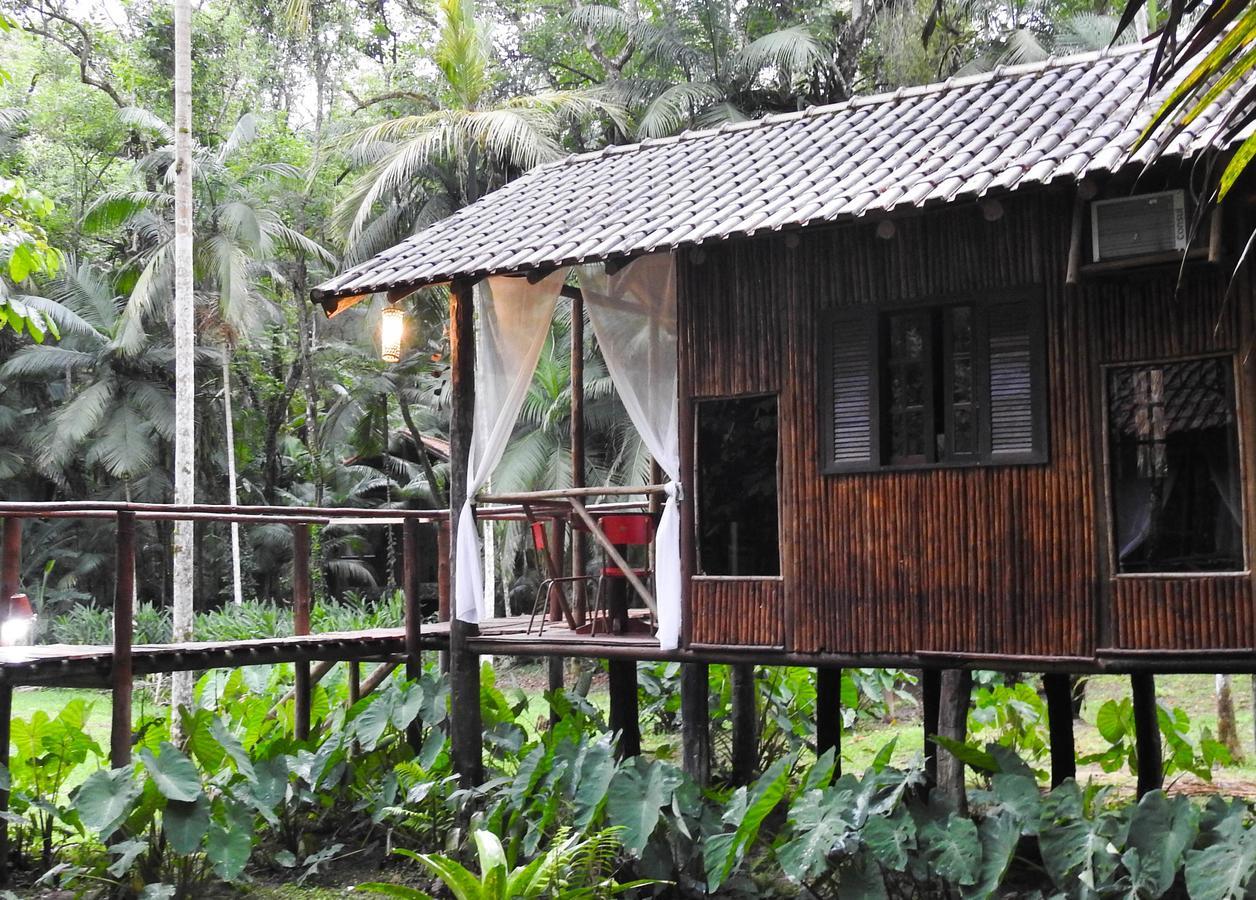 מלון איפורנגה Glamping Mangarito מראה חיצוני תמונה